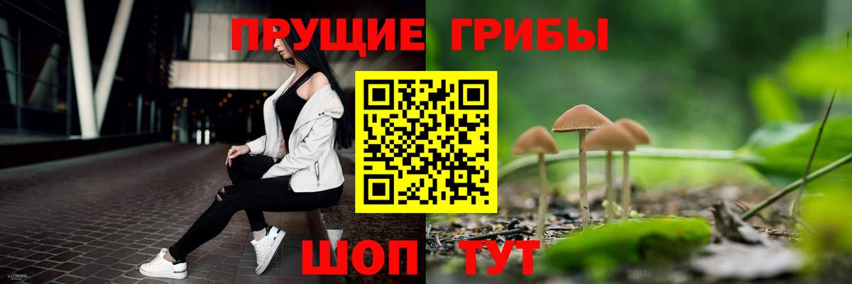 Сибай  Псилоцибиновые грибы мухоморы  Вход с VPN  Псилоцибиновые грибы прущие грибы 